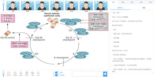 開發者實戰 不怕“網課又雙叒叕卡了”，在校生自建在線教育系統逆襲讓技術教育更高效