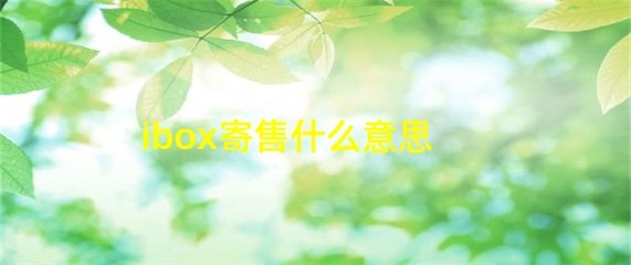 iBox 寄售服務(wù)解析 什么是受托寄賣(mài)？