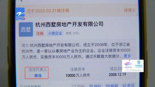 他家的柜子隔板，竟能實現手撕式受托寄賣？